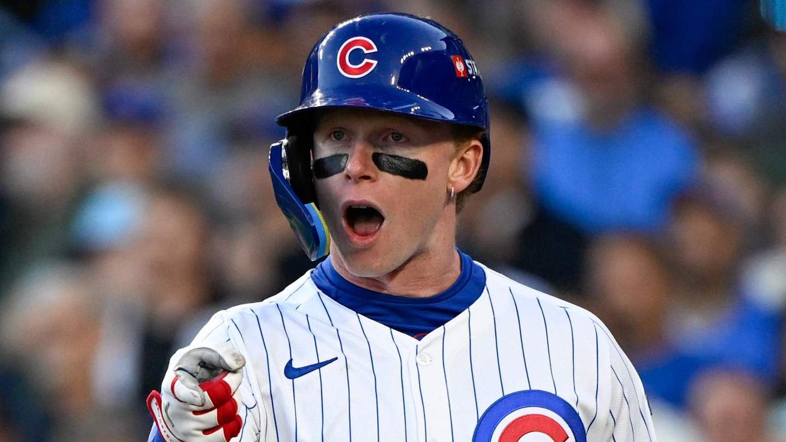 Cubs player baseball bat