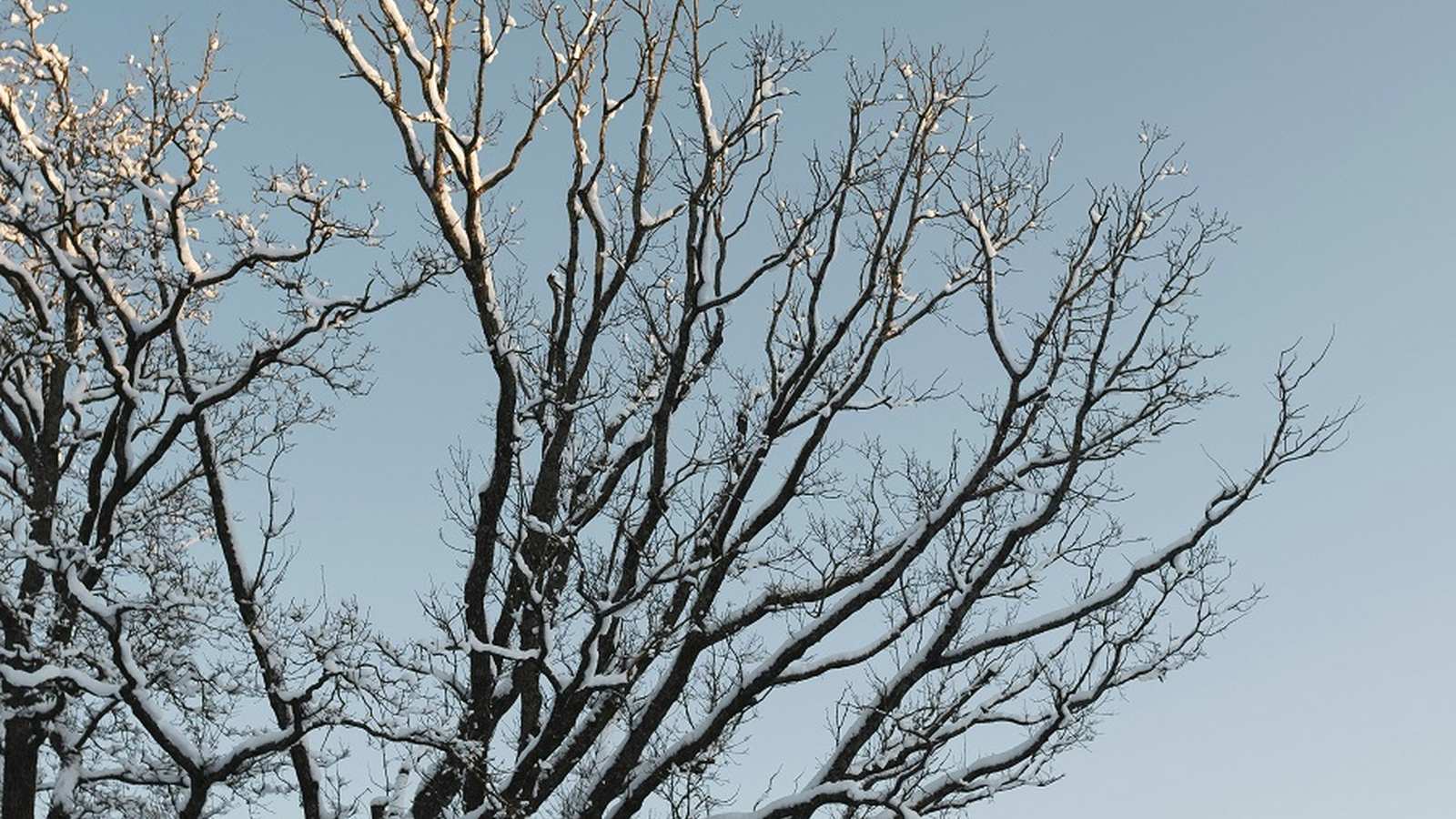 Փետրվարի վերջին օրերի եղանակային կանխատեսում Հայաստանում