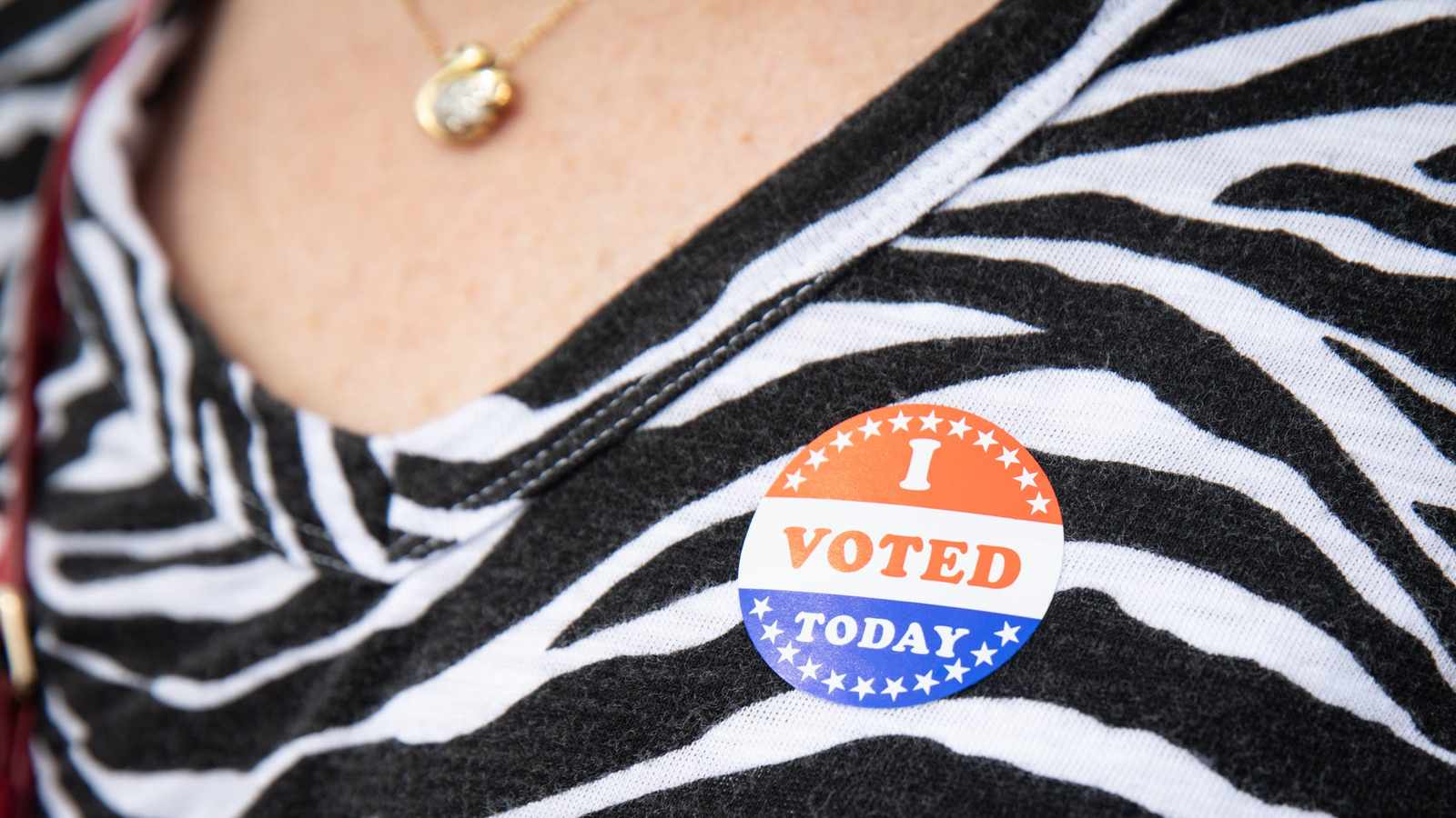 Քվեարկողի նույնականացման օրինագծի խոստումը բացում է ծախսերի փաթեթի քվեարկությունը մասնակի փակման պայմաններում