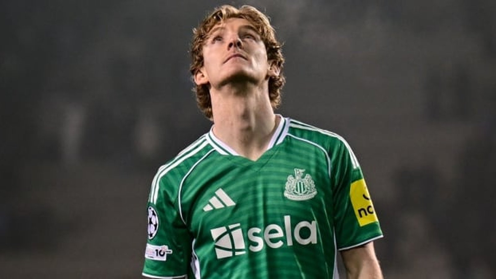 Digital football management interface