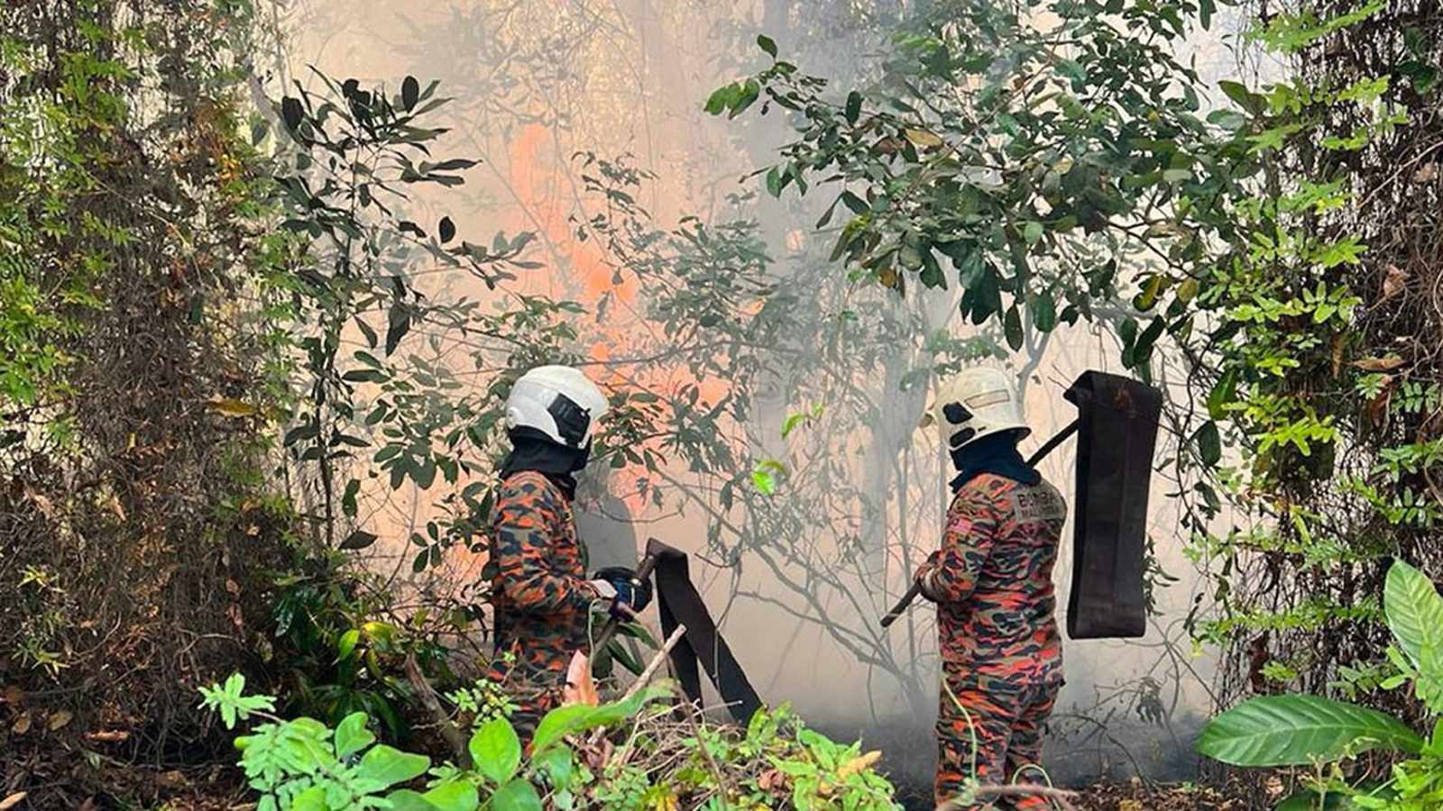 Burning Smell in Singapore Linked to Johor Forest Fires
