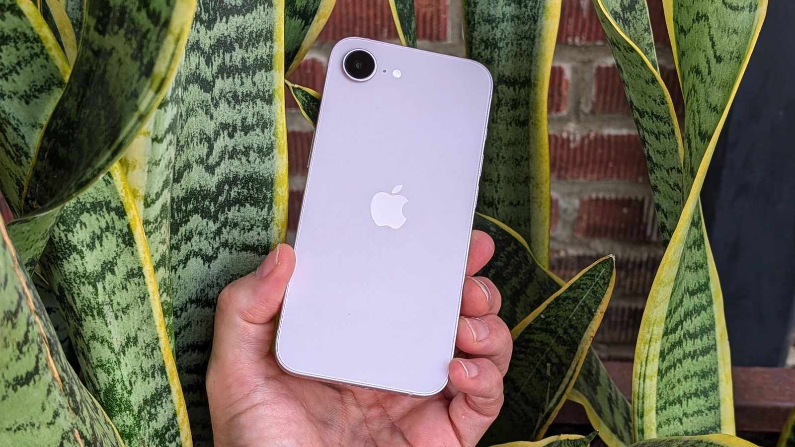 Apple hardware on display