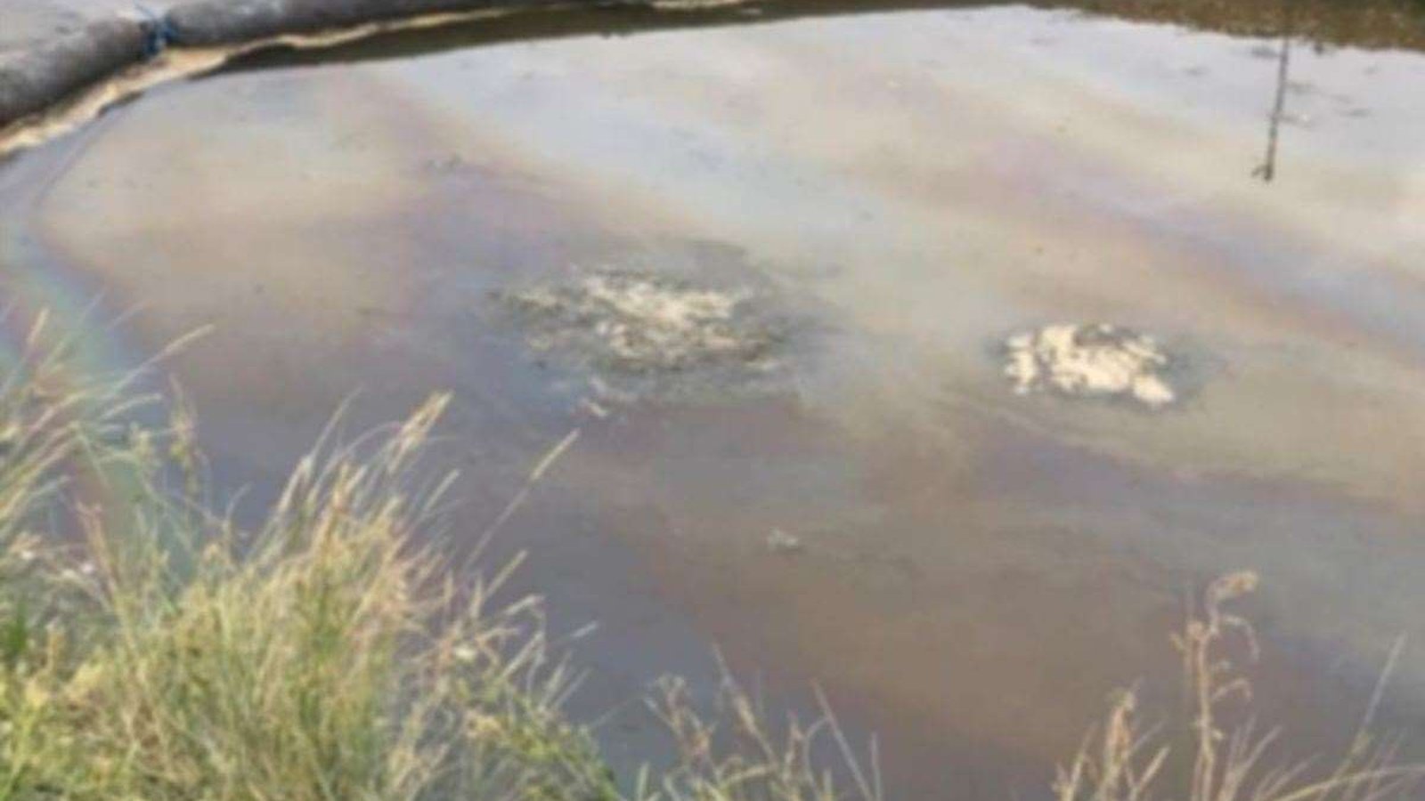 Southern Water Admits Guilt in Repeat Sewage Dumping Incidents