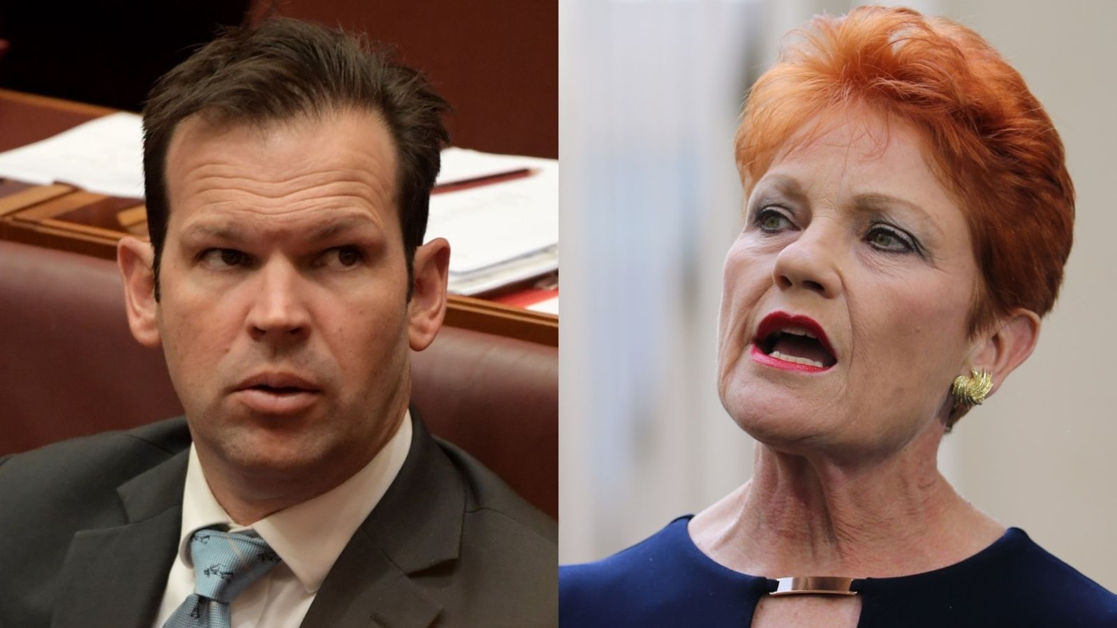 Australian politicians David Farley and Pauline Hanson in a split image