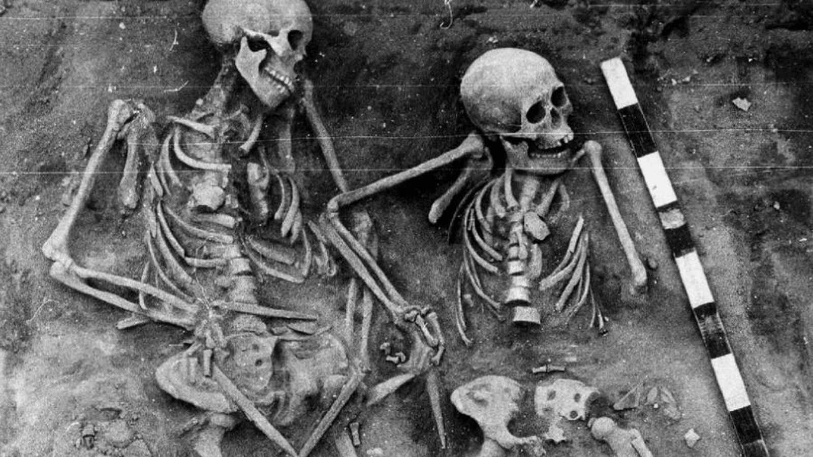 Two human skeletons unearthed in an archaeological dig site with a measurement scale