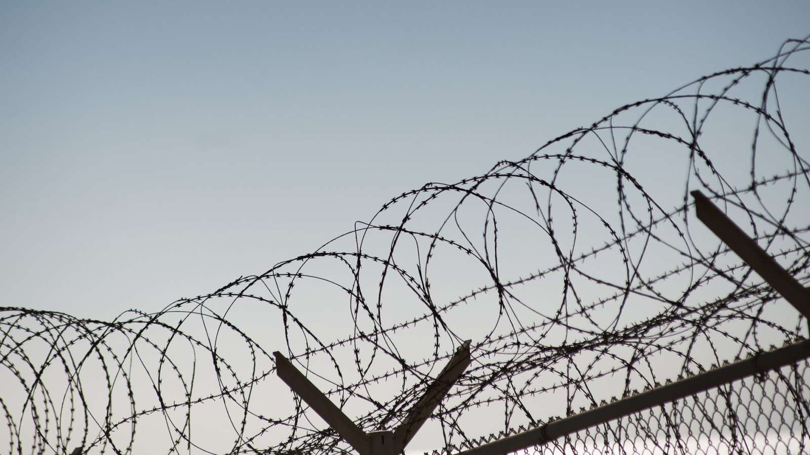 Coils of sharp razor wire atop a chain link border fence against sky