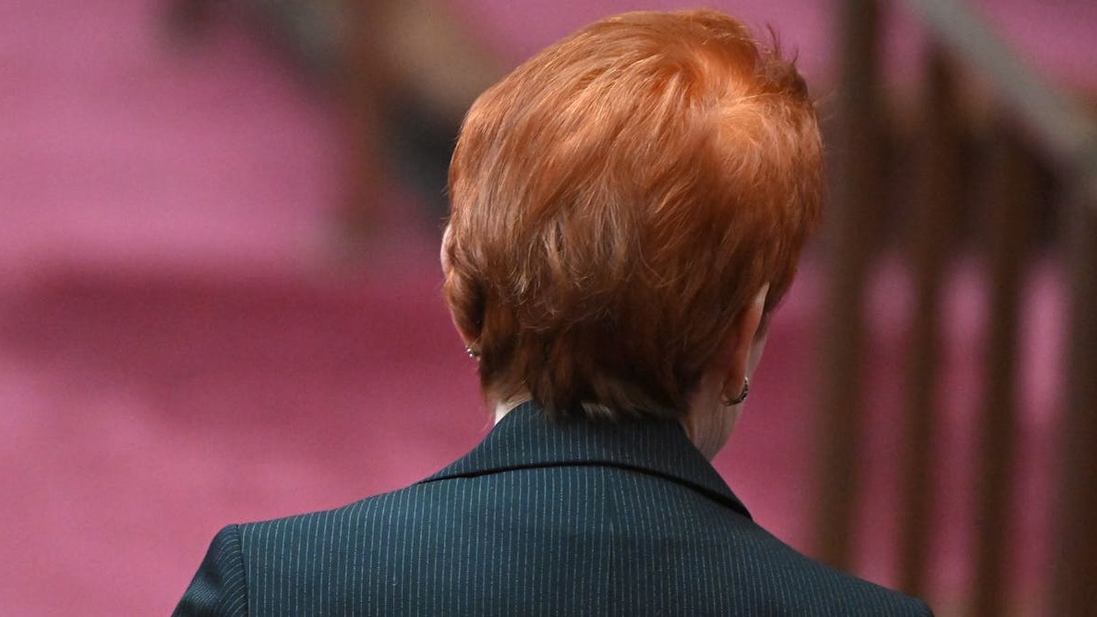 Pauline Hanson seen from behind wearing a dark pinstripe blazer in parliament