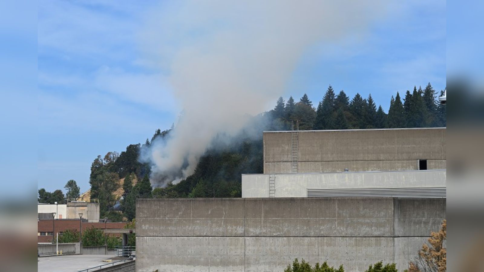 Thick white smoke rises from the wooded hillside of Skinner Butte behind concrete buildings