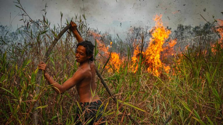 A shirtless man uses a hose to extinguish flames in an Indonesian wildfire
