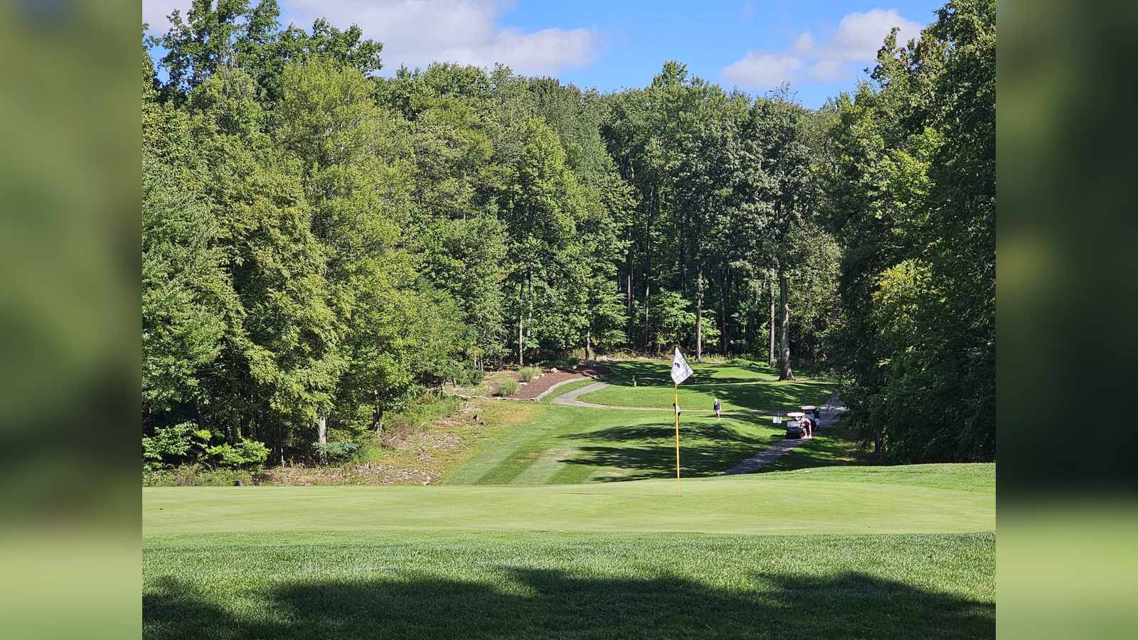 A scenic view of a golf course green with a flag and trees