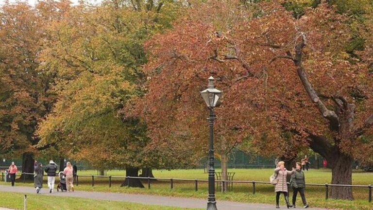 People walking along a path in a park with autumn foliage and trees