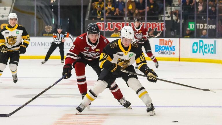 Brantford Bulldogs hockey players competing intensely on the ice during an OHL game