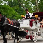 A black horse pulls a carriage with a driver and passengers in Central Park