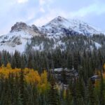Snow-covered peaks and evergreen trees in the Rocky Mountains during winter